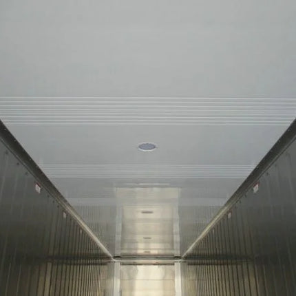 Neue 40-Fuß-Kühlcontainer 8585